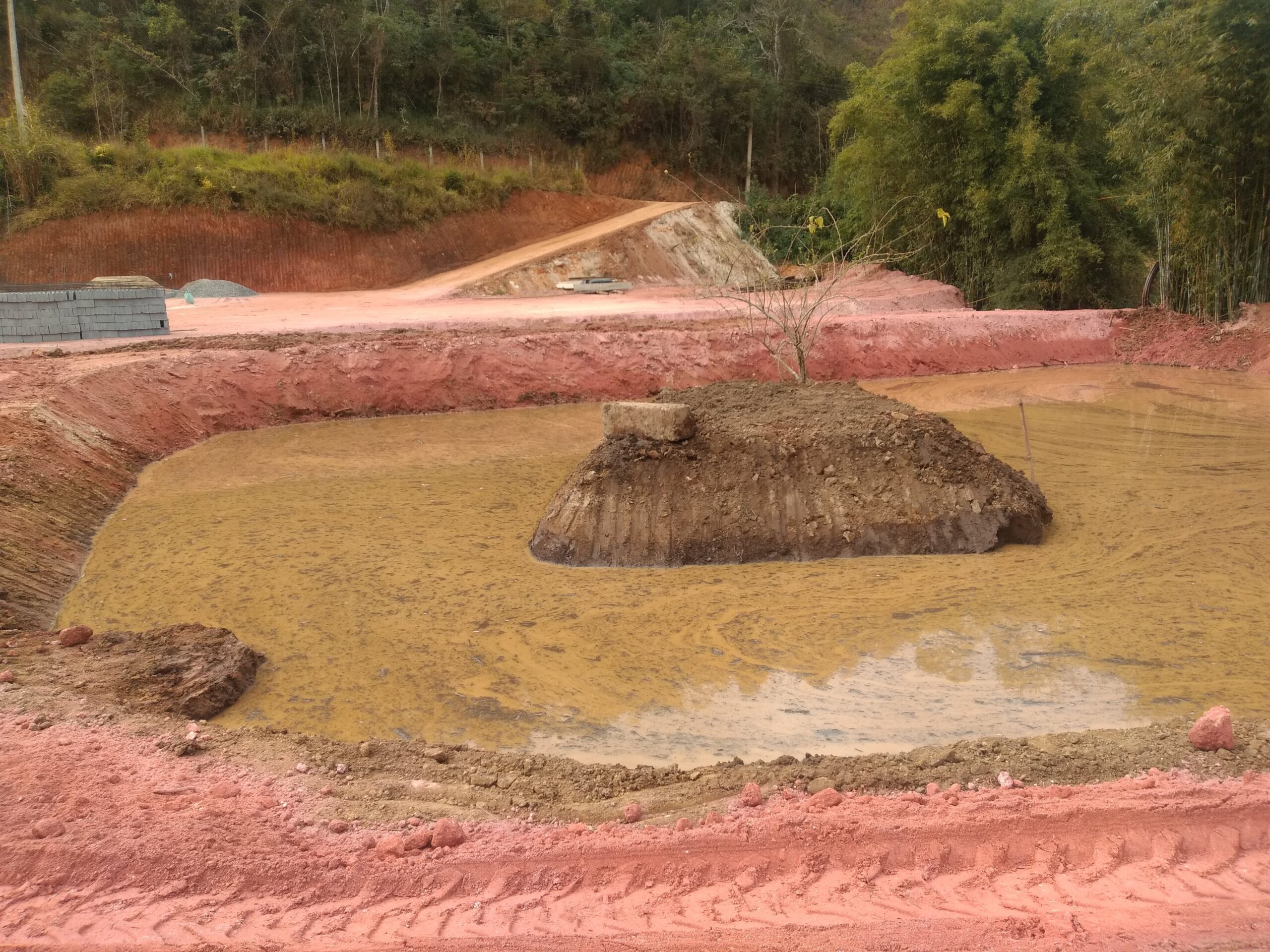 IMG_20200629_092032257