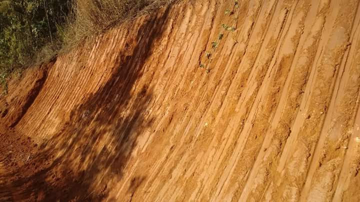 FB_IMG_1461432968986