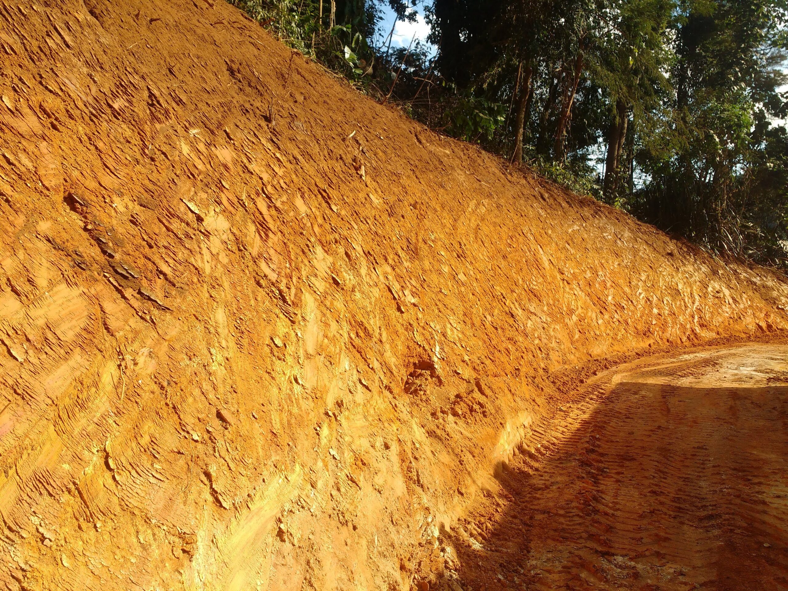 IMG_20180730_145948884