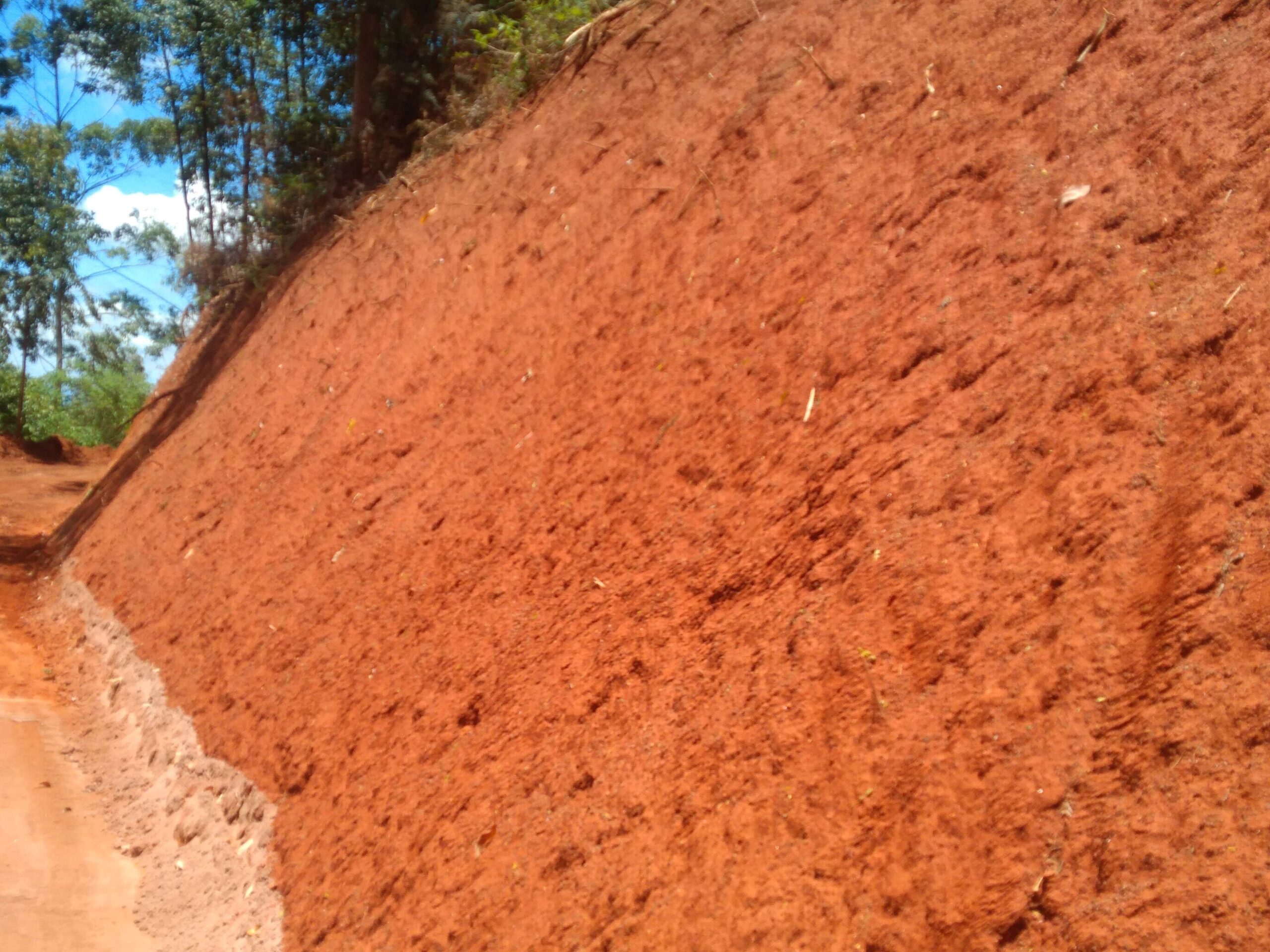 IMG_20201231_123307098